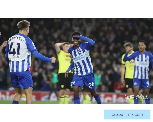 布莱顿英超第十一完赛总结：一季奋战成绩斐然，展望未来再创辉煌