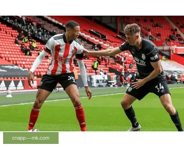 瓦格纳执教诺维奇冲超梦碎球队未来重建与战术争议全面解析深度观察