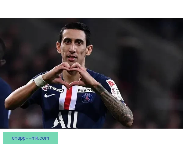 贝斯特创下历史高价转会加盟本菲卡，开启新征程